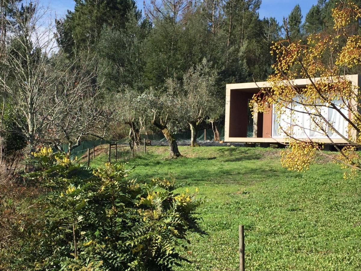 Adore Portugal Bungalow Natureza & Vista De Serra Lousã Exteriér fotografie