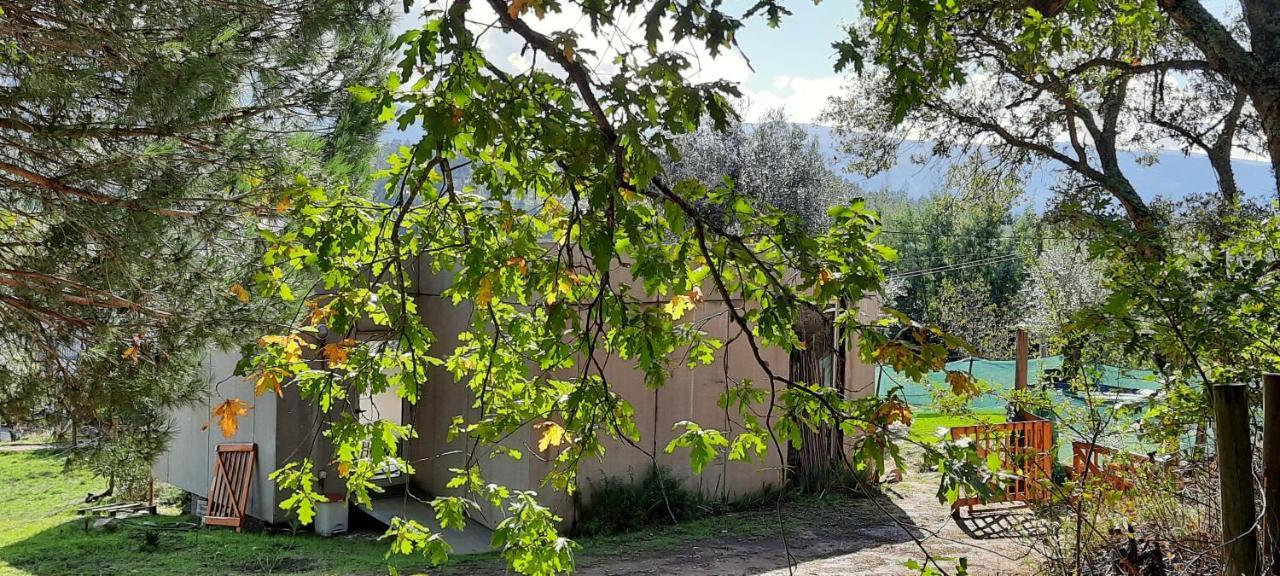 Adore Portugal Bungalow Natureza & Vista De Serra Lousã Exteriér fotografie
